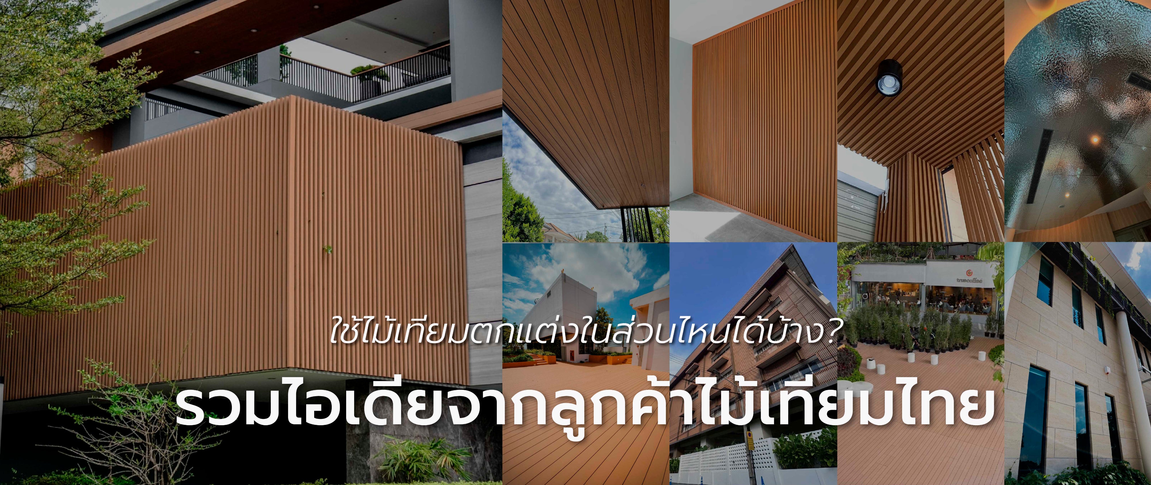 ไม้เทียมไทย